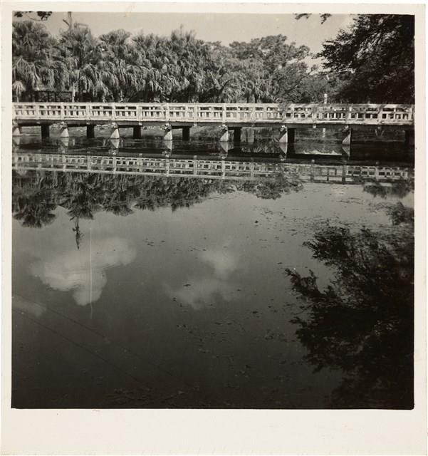 Contact Prints-3 Collection Image, Figure 17, Total 29 Figures