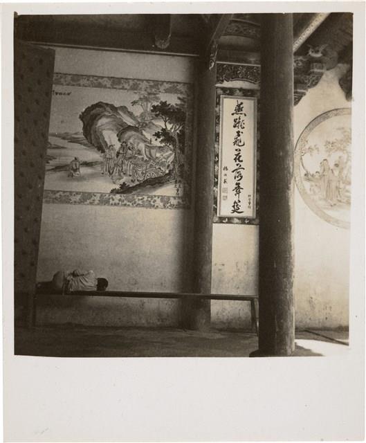 Contact Prints-3 Collection Image, Figure 24, Total 29 Figures