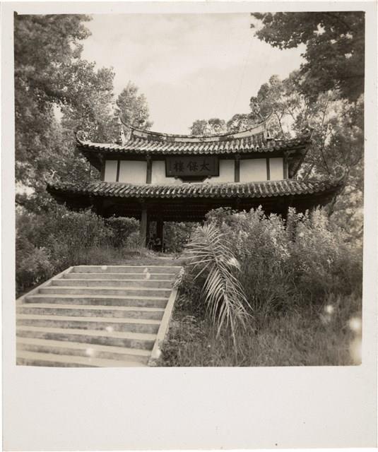 Contact Prints-3 Collection Image, Figure 15, Total 29 Figures
