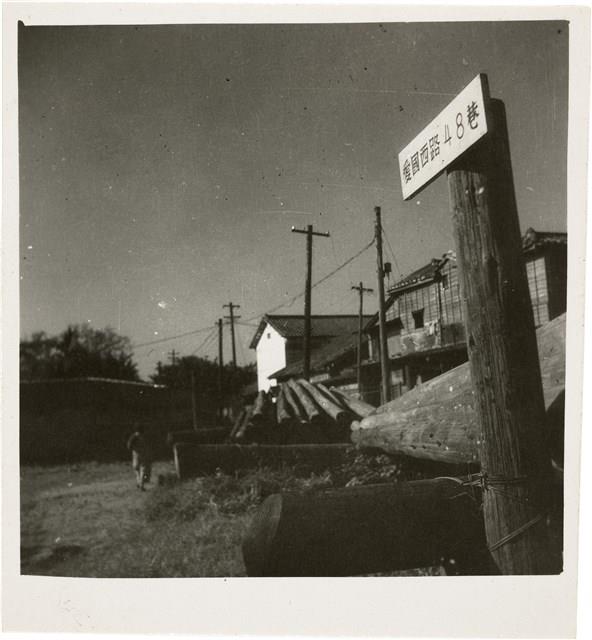 Contact Prints-4 Collection Image, Figure 19, Total 29 Figures
