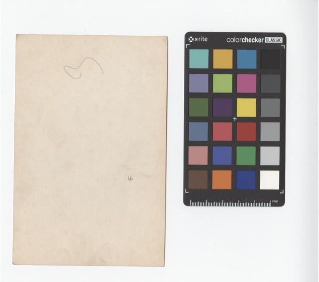 Accession Number:NCP2016-002-0005-001 Collection Image, Figure 2, Total 2 Figures