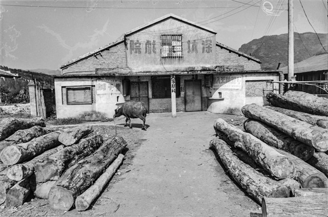 李悌欽135底片卷28-10藏品圖，第1張