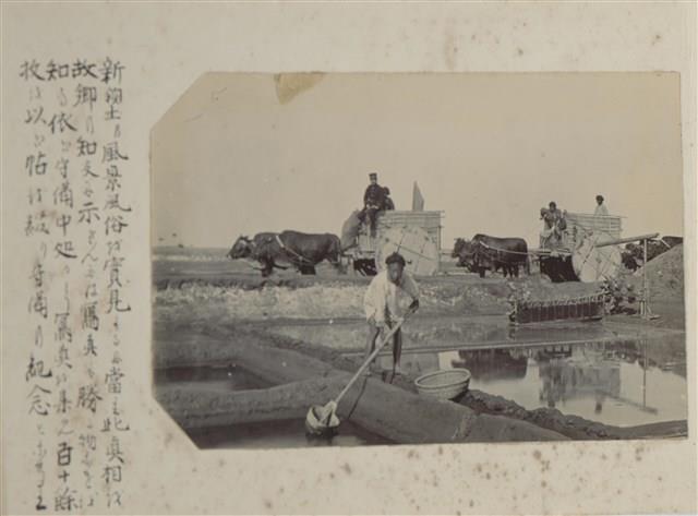 Photos of Han People in Taiwan in the Colonial Time Collection Image, Figure 8, Total 27 Figures