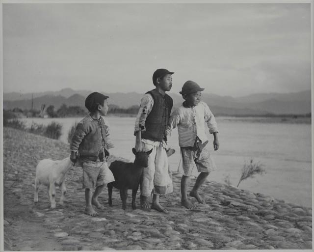 Child Shepherds Collection Image