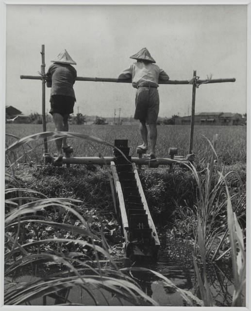 Farmers on a Water Wheel Collection Image