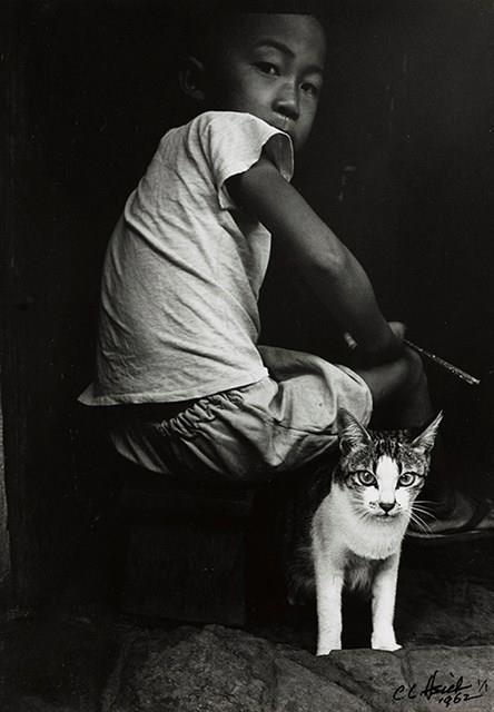 A Boy and a Cat Collection Image