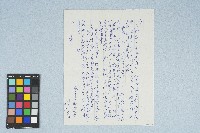 呂洪淑女寫給呂國民的信件（1973年11月6日）藏品圖，第2張