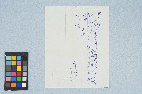 呂洪淑女寫給呂國民的信件（1973年3月20日）藏品圖，第3張