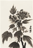 牡丹藏品圖，第1張