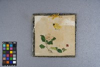 涂炳榔繪製之《花蝶》賀卡藏品圖，第3張