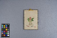涂炳榔繪製之《花朵蔬菜》賀卡藏品圖，第3張