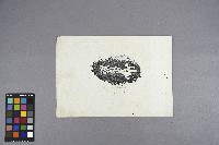曹開繪圖藏品圖，第2張