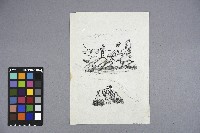 曹開手繪草稿藏品圖，第2張