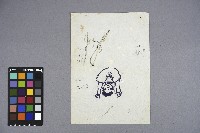 曹開手繪草稿藏品圖，第3張