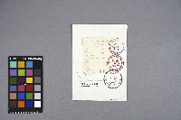 曹開簽證相關戳印（1994年12月10日）（土）藏品圖，第1張