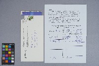 晨星出版有限公司致曹羅喜信件（2010年3月1日）藏品圖，第1張