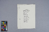 曹開詩作《人造衛星》藏品圖，第3張