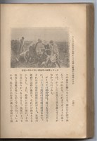日文版《哈威老師》藏品圖，第265張