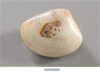 貝殼畫-武松打虎藏品圖，第10張