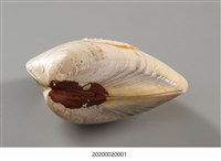 貝殼畫-武松打虎藏品圖，第12張