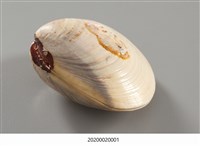 貝殼畫-武松打虎藏品圖，第13張