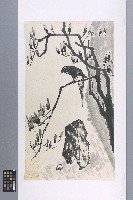 劉辰旦創作之《玉蘭花鸚鵡》藏品圖，第2張