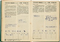 魏廷朝獄中日記藏品圖，第31張