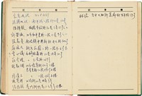 魏廷朝獄中日記藏品圖，第195張