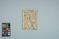 魏廷朝寄給張慶惠的書信（陸玖）（剪報）（1980年10月8日）藏品圖，第1張