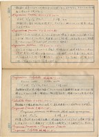 「攝影用術語、藥名辭典」（日）藏品圖，第127張