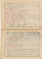 「攝影用術語、藥名辭典」（日）藏品圖，第135張