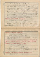 「攝影用術語、藥名辭典」（日）藏品圖，第154張