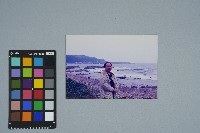 陳榮慶於基隆八斗子漁港拍攝照片（1）藏品圖，第1張