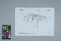 綠島新生訓練處營舍SAP2000結構分析圖（剪力）藏品圖，第1張