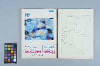 《分類台語小辭典》手稿（1992年4月）藏品圖，第1張