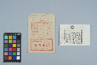 胡鑫麟之醫師考試及格證書（縮小翻拍照片）藏品圖，第1張