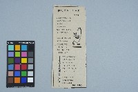 剪報資料「你的青春，我青春 / 宋澤萊」藏品圖，第1張