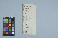 剪報資料「台語童詩 - 給鏡講的內心話 / 向陽」藏品圖，第1張