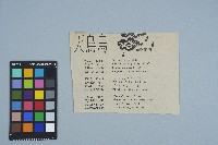 剪報資料「天烏烏 / 戴正德」藏品圖，第1張