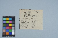 剪報資料「白鴒鷥 / 戴正德」藏品圖，第2張