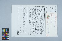 王月戀寄給游常娥之書信（2001年1月20日）藏品圖，第1張