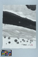 劉辰旦畫作（2006年）藏品圖，第1張