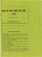 簡文介著《台灣獨立運動第10年 - 1995》（日）藏品圖，第32張