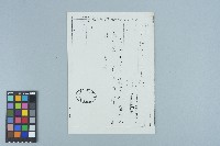 吳鍾靈內政部出入境管理局簡便行文表（（68）義局字第9875號）（1979年7月21日 ）藏品圖，第2張
