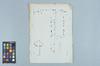 吳鍾靈內政部出入境管理局簡便行文表（（68）義局字第5192號）（1980年3月20日 ）藏品圖，第2張