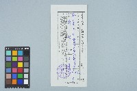 魏廷朝台灣地區旅客出入境聯合服務中心收文廻單（字第2870號）（1988年9月9日）藏品圖，第1張