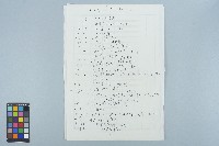 傳真手稿「魏廷朝經歷」藏品圖，第1張