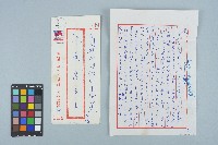 魏廷朝寄給張慶惠的書信（66）（1980年10月3日）藏品圖，第1張