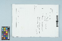 汪希苓等國防部軍法局訊問筆錄影本（1985年）藏品圖，第1張
