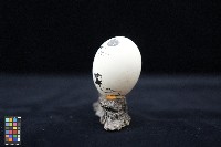 周順吉繪蛋殼畫《樹下獨坐》藏品圖，第2張